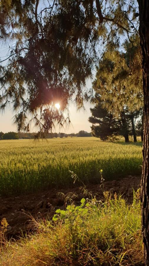 Masseria Vivi Il Salento 圣卡塔林纳 外观 照片