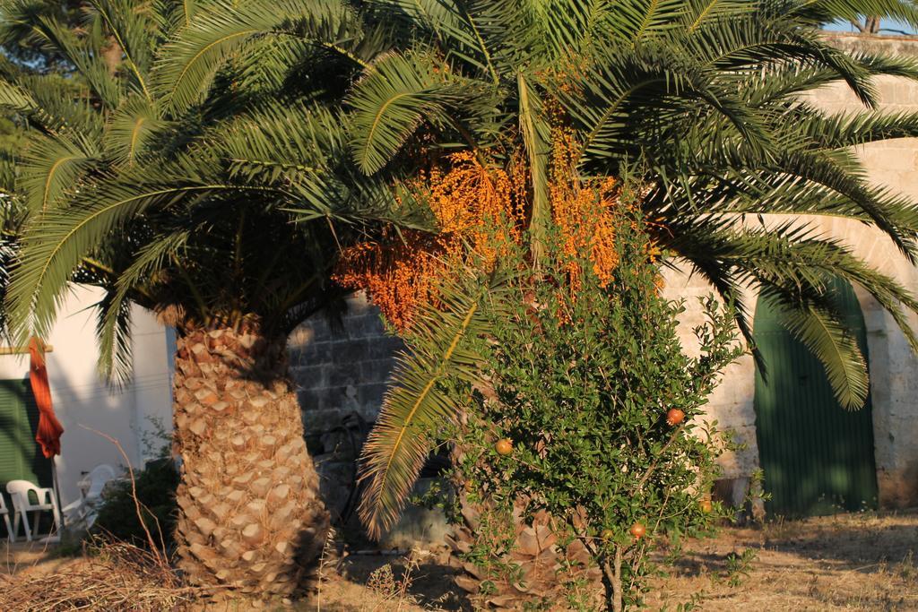Masseria Vivi Il Salento 圣卡塔林纳 客房 照片