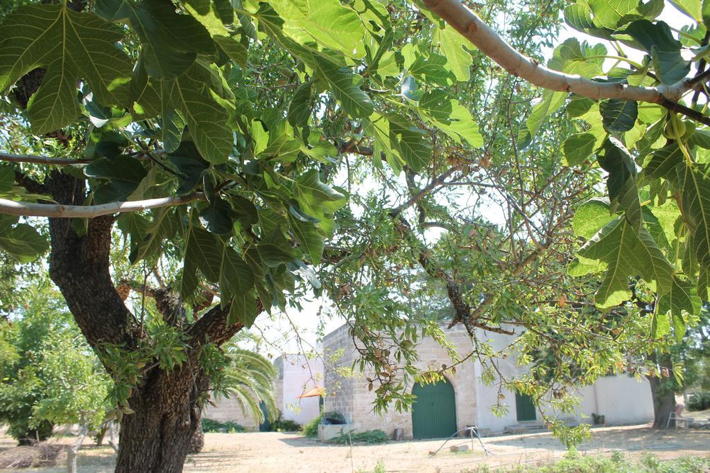 Masseria Vivi Il Salento 圣卡塔林纳 客房 照片