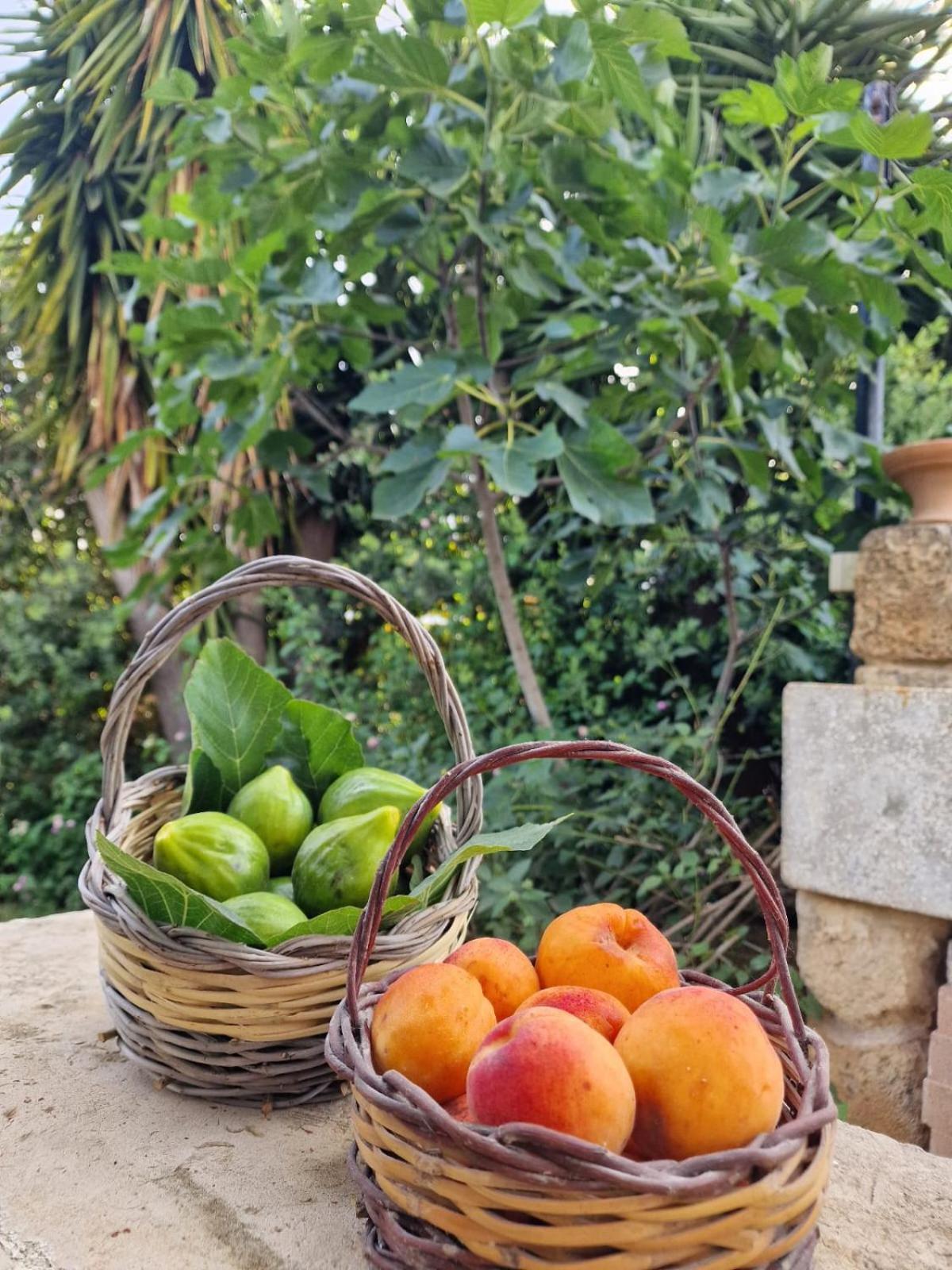 Masseria Vivi Il Salento 圣卡塔林纳 外观 照片