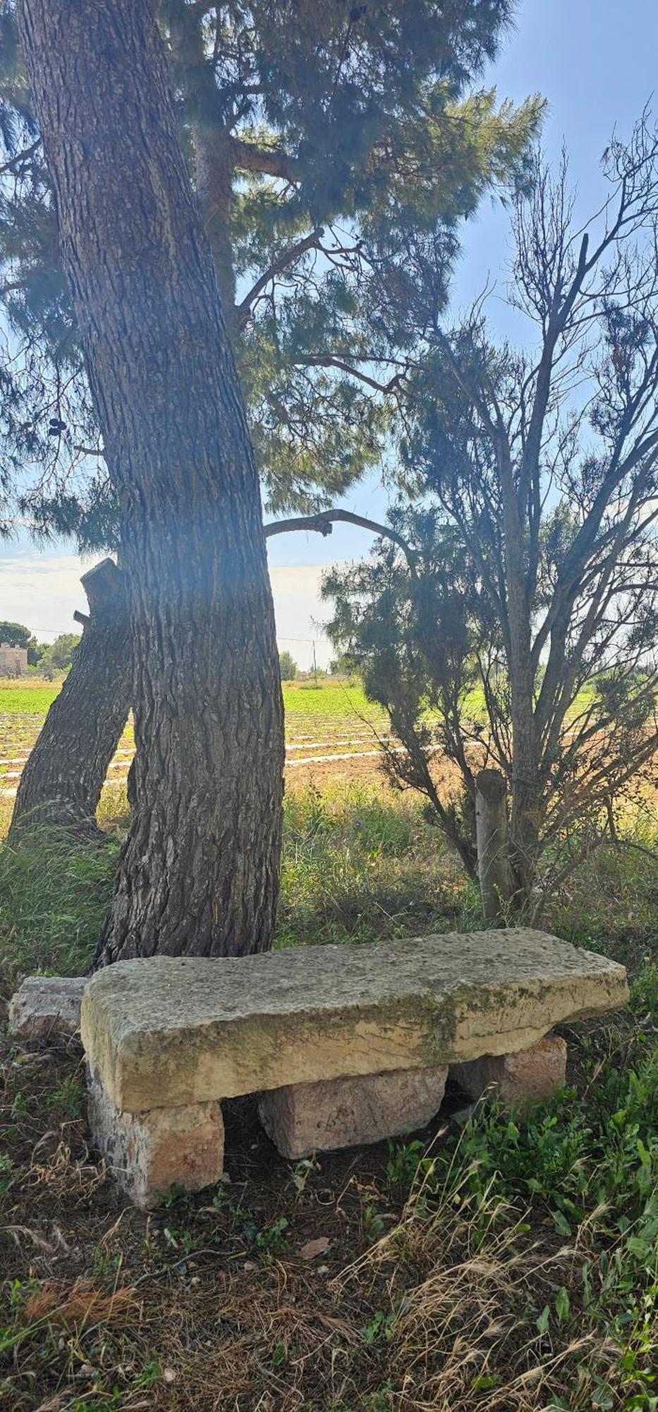 Masseria Vivi Il Salento 圣卡塔林纳 外观 照片