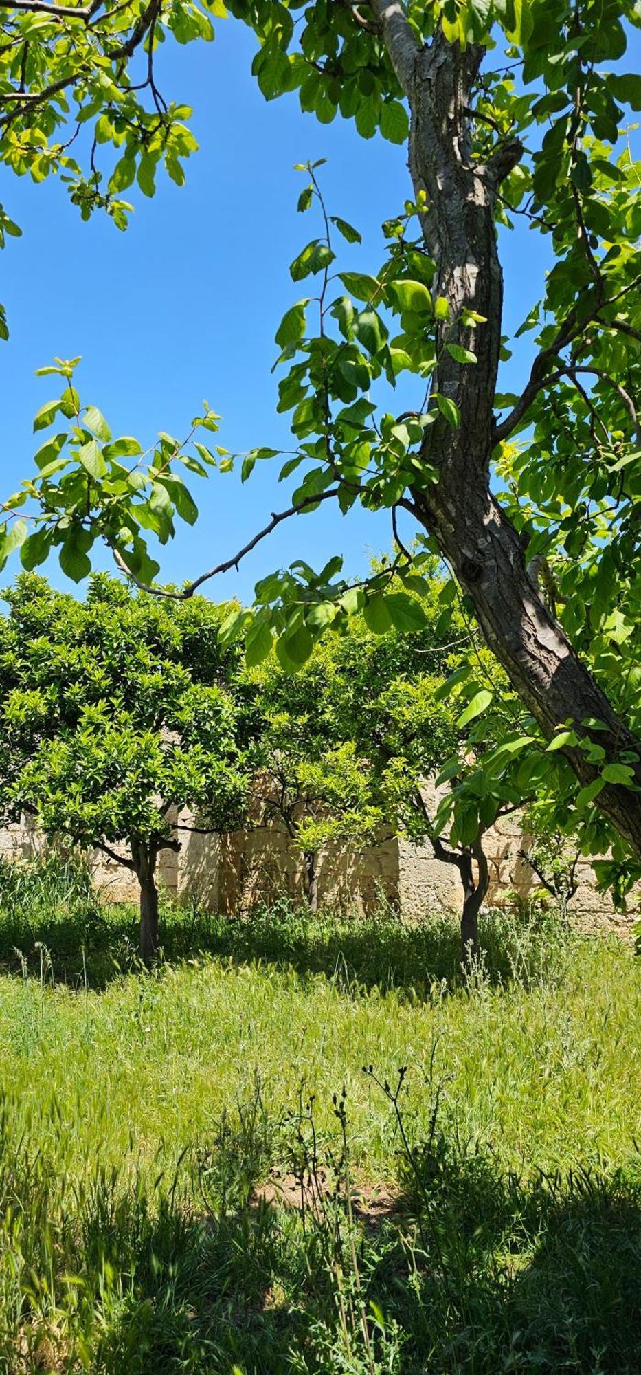 Masseria Vivi Il Salento 圣卡塔林纳 外观 照片