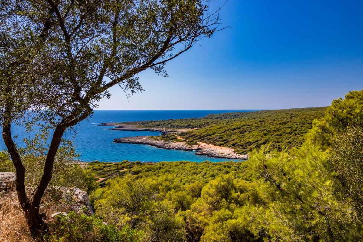 Masseria Vivi Il Salento 圣卡塔林纳 外观 照片