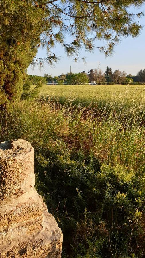 Masseria Vivi Il Salento 圣卡塔林纳 外观 照片